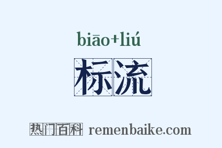 标流是什么意思的图片